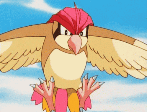 pidgeotto animated-images-gif